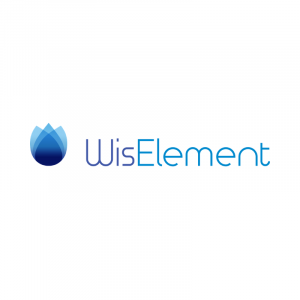 Wiselement